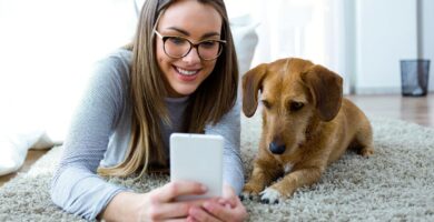 Mejores Aplicaciones para cuidador de perros